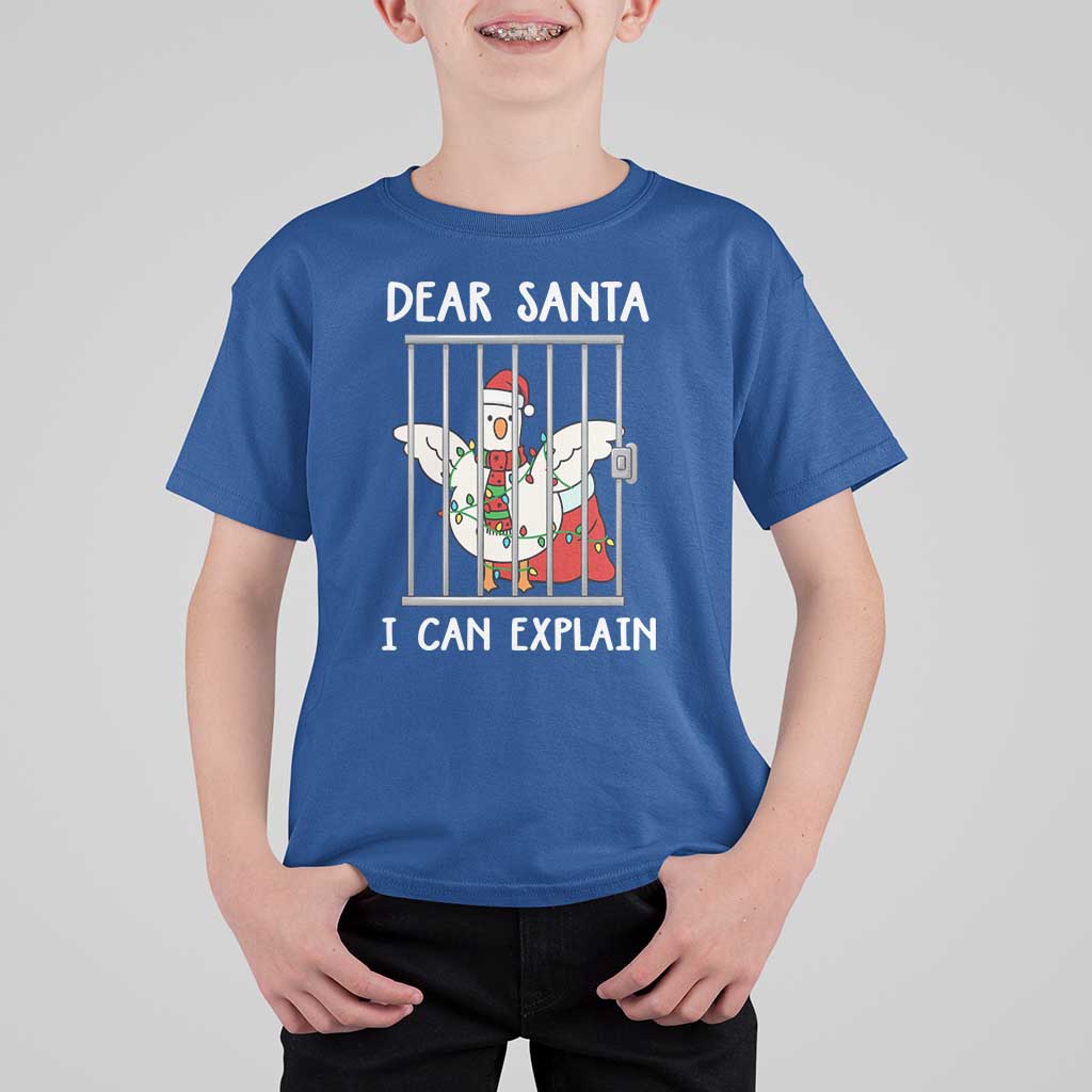 Funny Christmas Goose T Shirt For Kid Dear Santa I Can Explain Xmas Meme - Wonder Print Shop