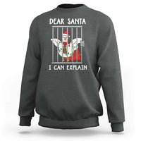 Funny Christmas Goose Sweatshirt Dear Santa I Can Explain Xmas Meme - Wonder Print Shop