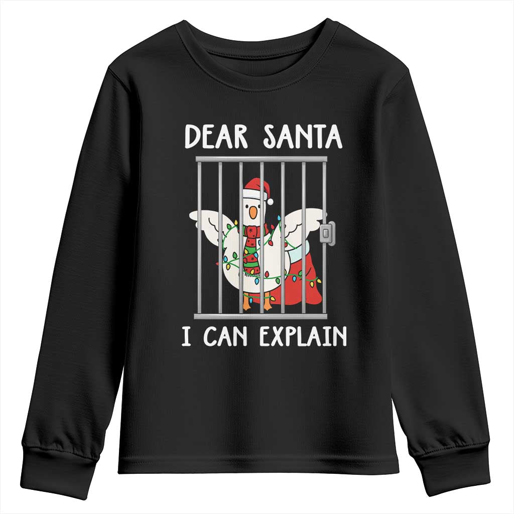Funny Christmas Goose Youth Sweatshirt Dear Santa I Can Explain Xmas Meme - Wonder Print Shop