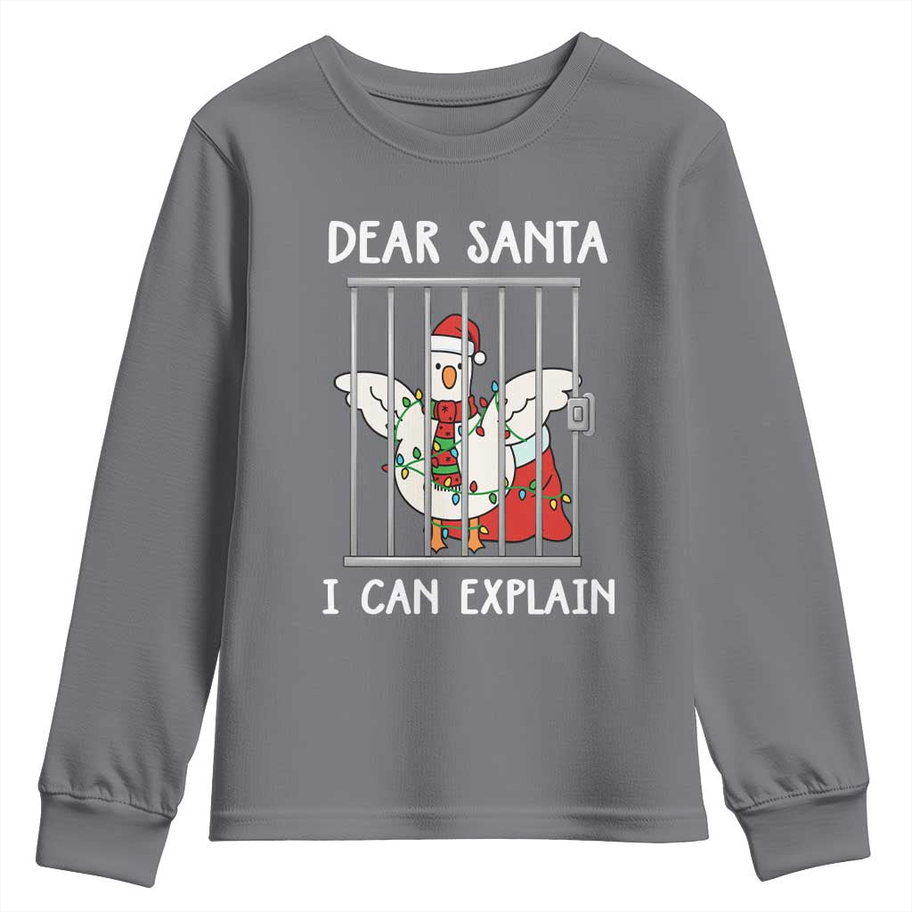 Funny Christmas Goose Youth Sweatshirt Dear Santa I Can Explain Xmas Meme - Wonder Print Shop