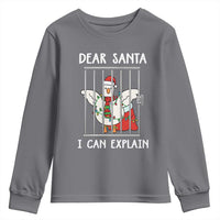 Funny Christmas Goose Youth Sweatshirt Dear Santa I Can Explain Xmas Meme - Wonder Print Shop