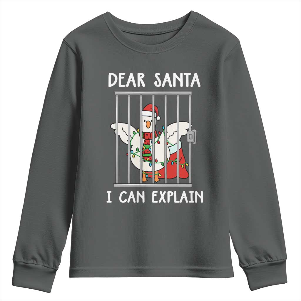 Funny Christmas Goose Youth Sweatshirt Dear Santa I Can Explain Xmas Meme - Wonder Print Shop