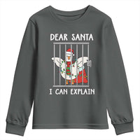 Funny Christmas Goose Youth Sweatshirt Dear Santa I Can Explain Xmas Meme - Wonder Print Shop