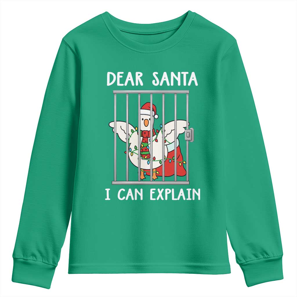 Funny Christmas Goose Youth Sweatshirt Dear Santa I Can Explain Xmas Meme - Wonder Print Shop