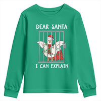 Funny Christmas Goose Youth Sweatshirt Dear Santa I Can Explain Xmas Meme - Wonder Print Shop