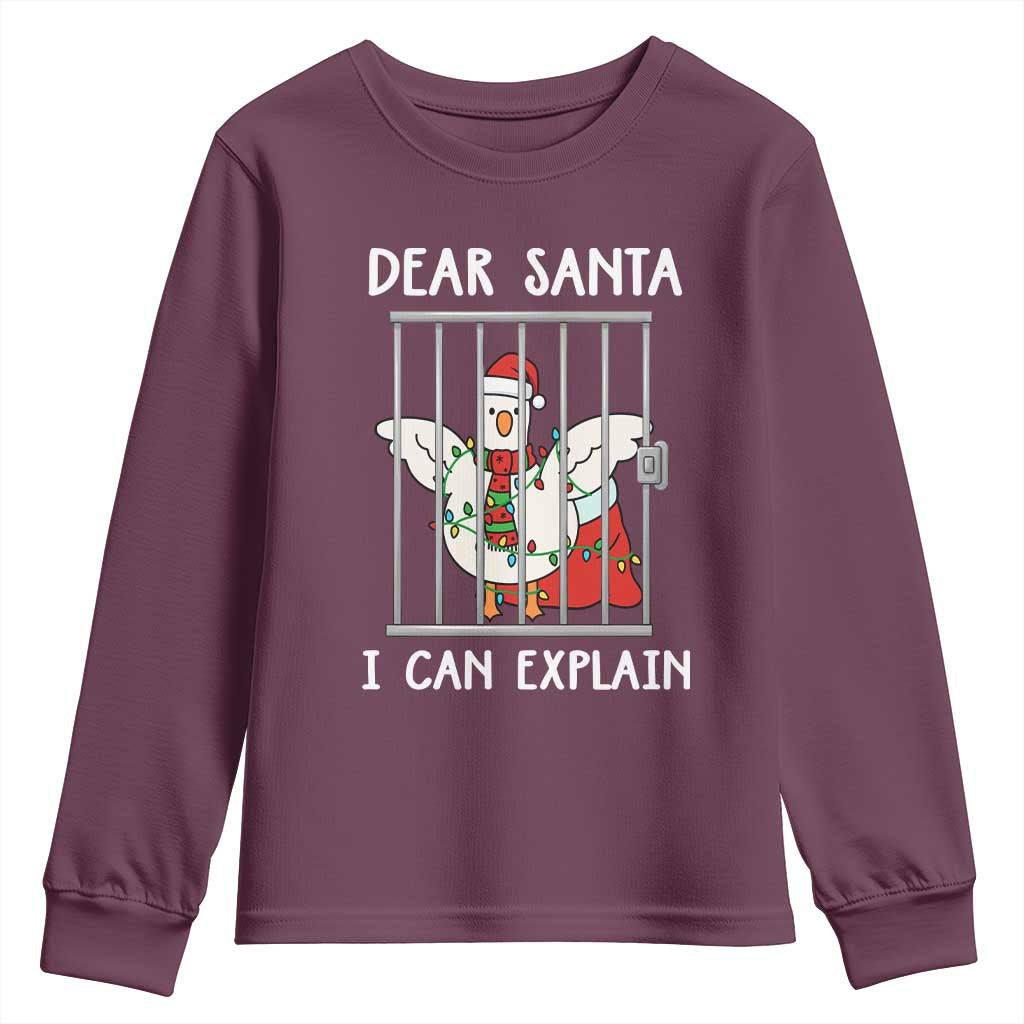 Funny Christmas Goose Youth Sweatshirt Dear Santa I Can Explain Xmas Meme - Wonder Print Shop