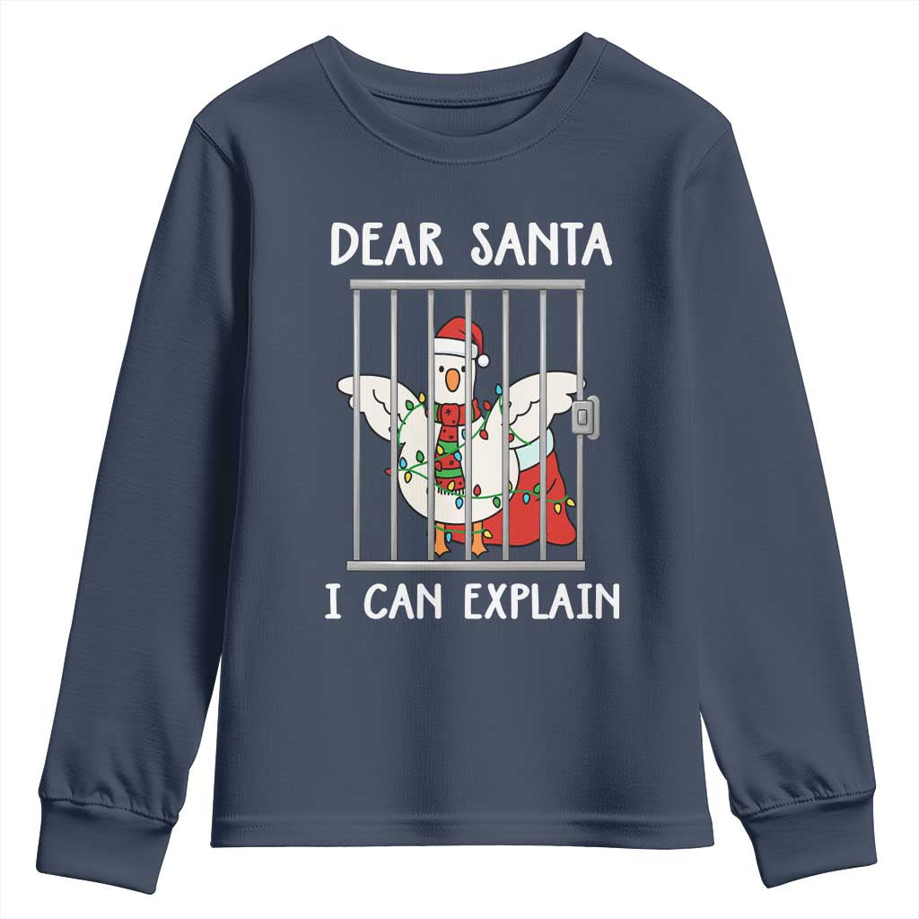 Funny Christmas Goose Youth Sweatshirt Dear Santa I Can Explain Xmas Meme - Wonder Print Shop