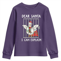 Funny Christmas Goose Youth Sweatshirt Dear Santa I Can Explain Xmas Meme - Wonder Print Shop