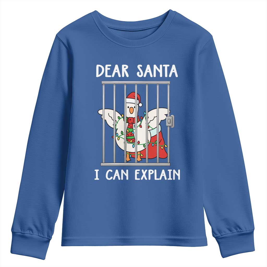 Funny Christmas Goose Youth Sweatshirt Dear Santa I Can Explain Xmas Meme - Wonder Print Shop