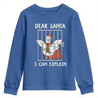 Funny Christmas Goose Youth Sweatshirt Dear Santa I Can Explain Xmas Meme - Wonder Print Shop