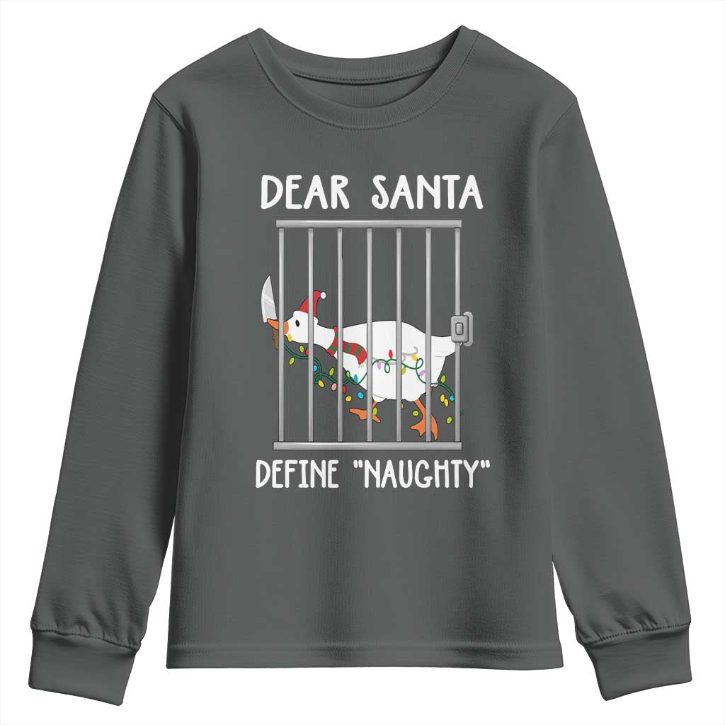 Funny Christmas Goose Youth Sweatshirt Dear Santa Define Naughty Xmas Meme - Wonder Print Shop