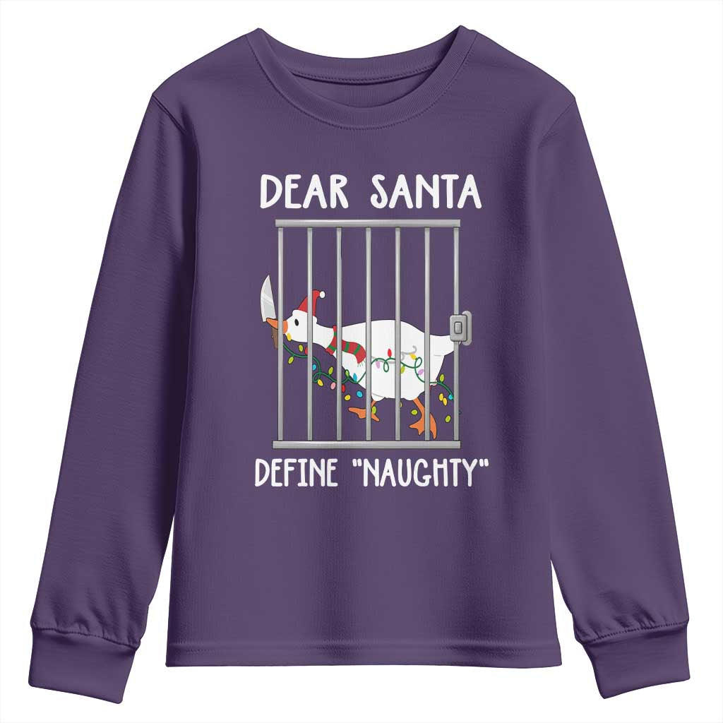Funny Christmas Goose Youth Sweatshirt Dear Santa Define Naughty Xmas Meme - Wonder Print Shop