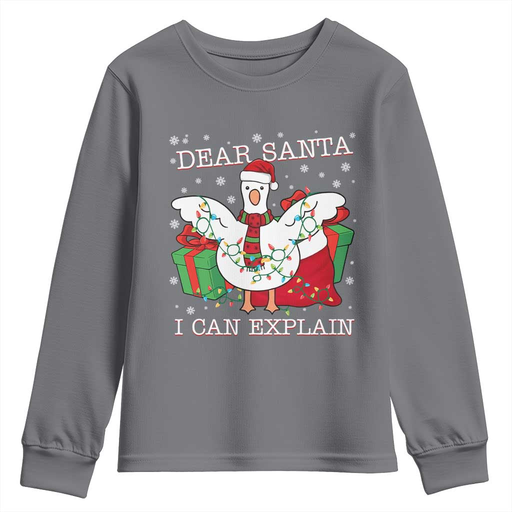 Funny Christmas Goose Youth Sweatshirt Dear Santa I Can Explain Cute Xmas Meme - Wonder Print Shop