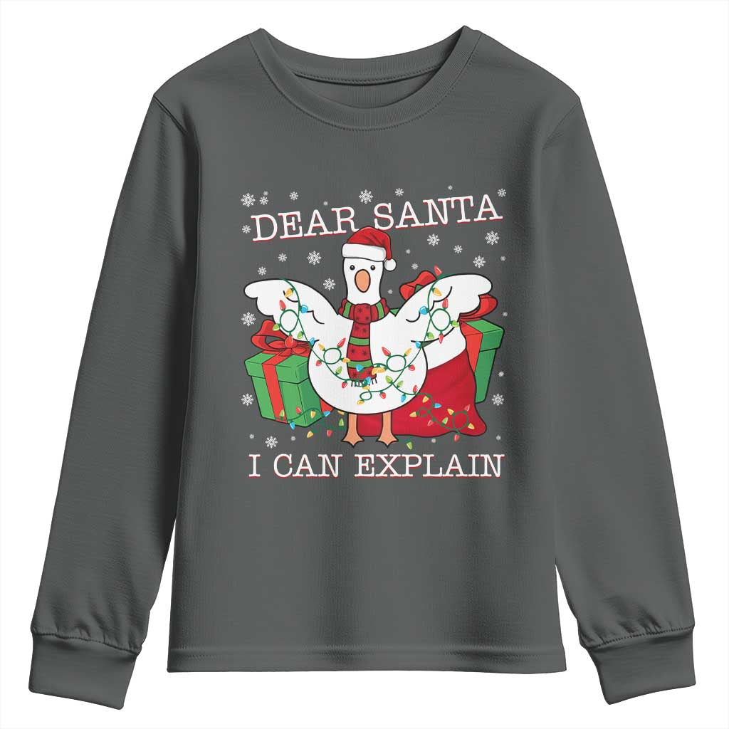 Funny Christmas Goose Youth Sweatshirt Dear Santa I Can Explain Cute Xmas Meme - Wonder Print Shop