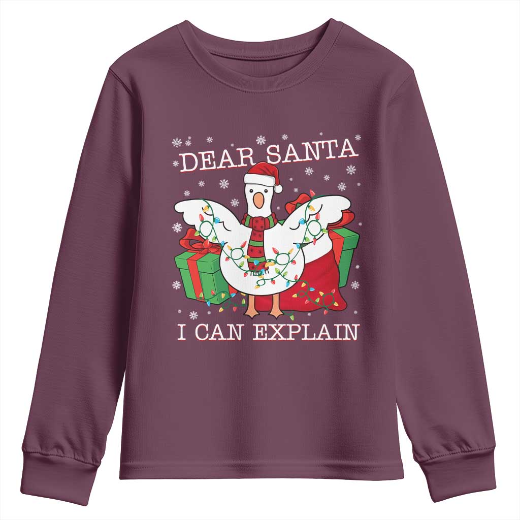 Funny Christmas Goose Youth Sweatshirt Dear Santa I Can Explain Cute Xmas Meme - Wonder Print Shop