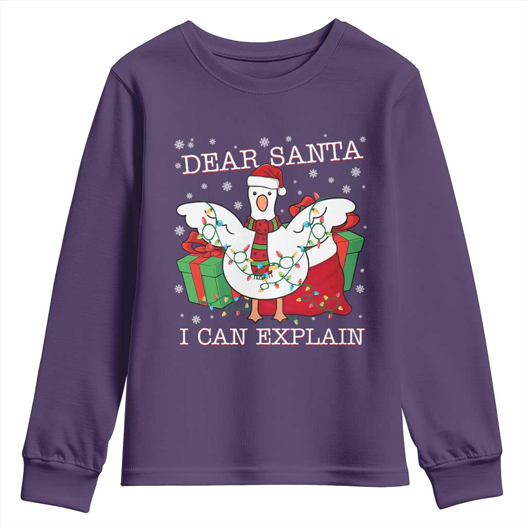 Funny Christmas Goose Youth Sweatshirt Dear Santa I Can Explain Cute Xmas Meme - Wonder Print Shop