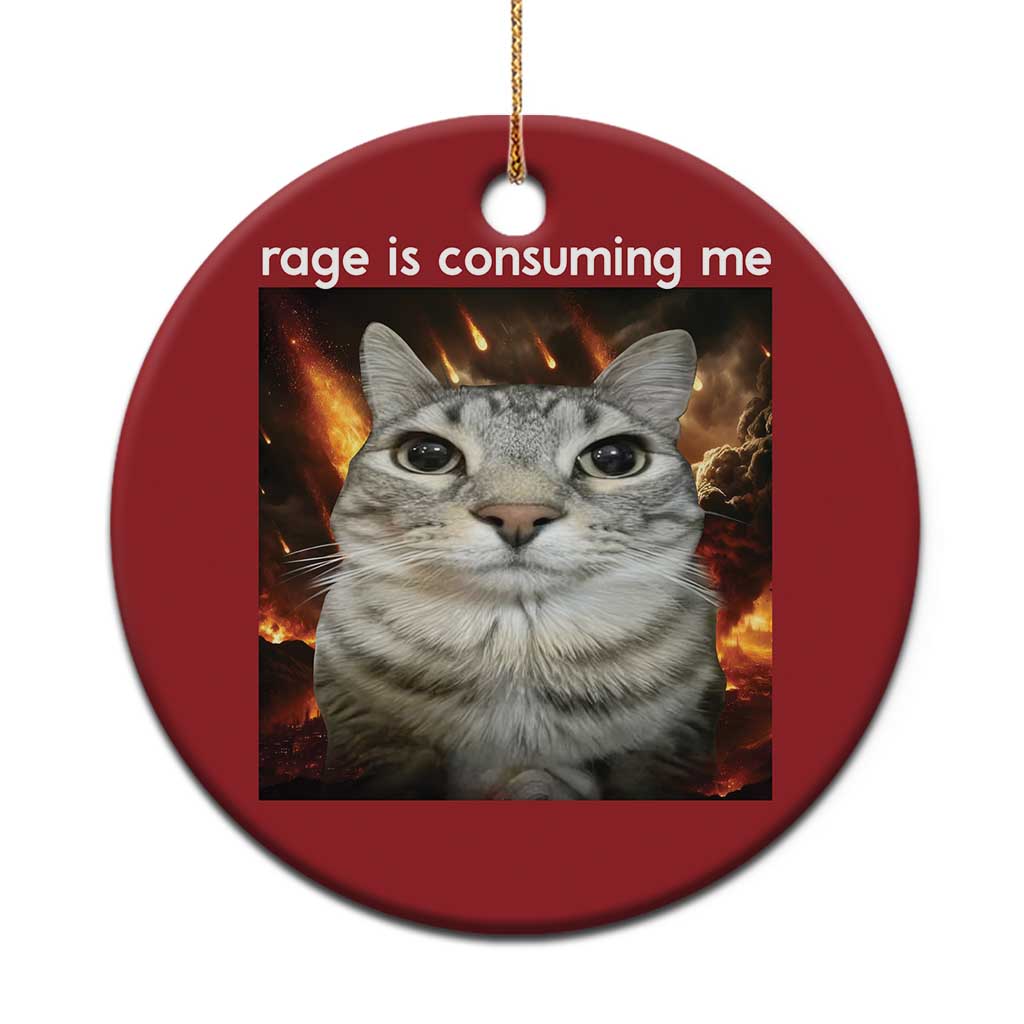 Rage Is Consuming Me Cat Christmas Ornament Funny Weird Humor Silly Cat Meme - Wonder Print Shop