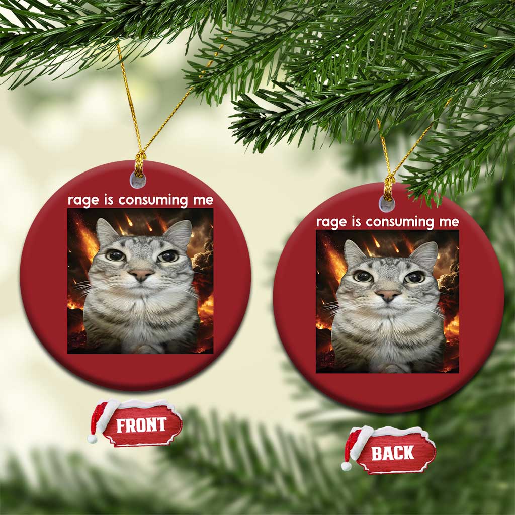 Rage Is Consuming Me Cat Christmas Ornament Funny Weird Humor Silly Cat Meme - Wonder Print Shop