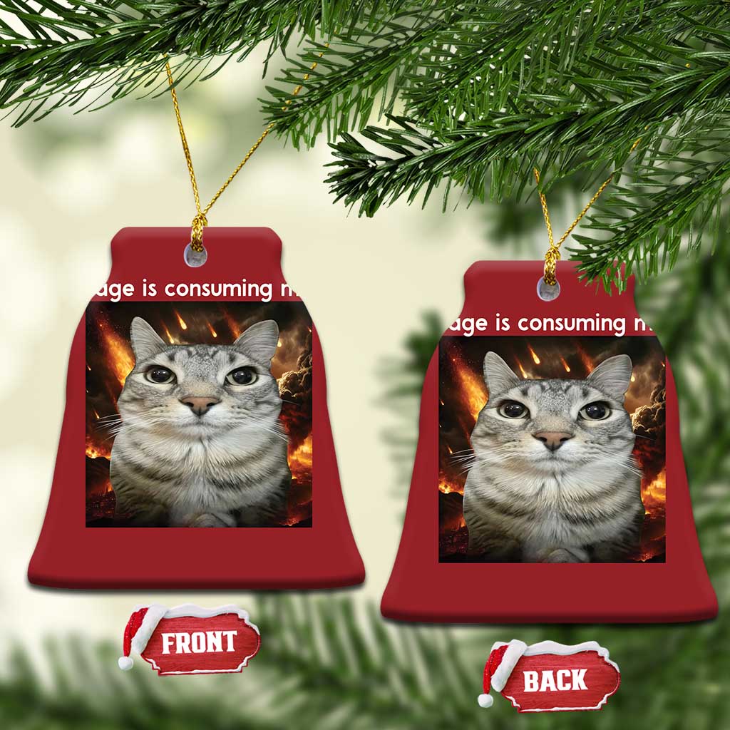 Rage Is Consuming Me Cat Christmas Ornament Funny Weird Humor Silly Cat Meme - Wonder Print Shop