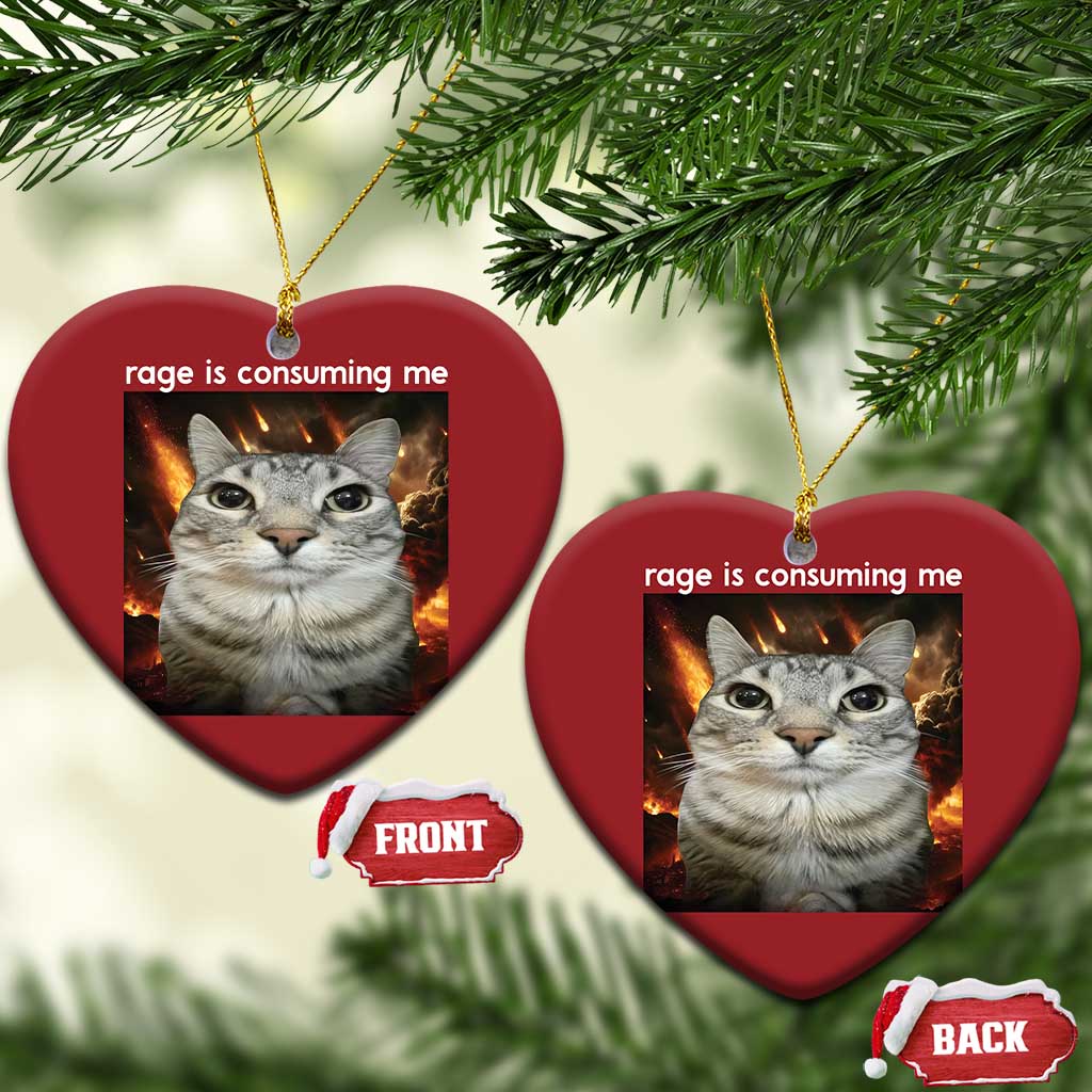 Rage Is Consuming Me Cat Christmas Ornament Funny Weird Humor Silly Cat Meme - Wonder Print Shop