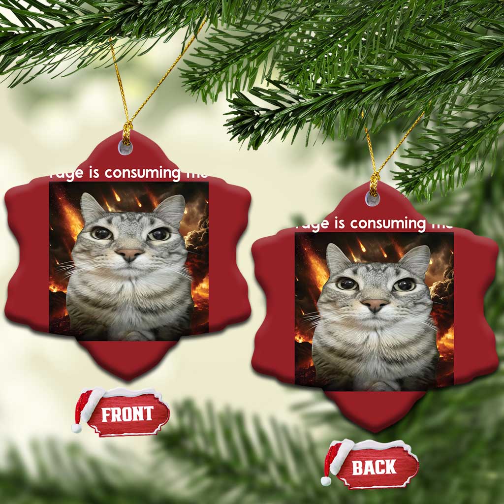 Rage Is Consuming Me Cat Christmas Ornament Funny Weird Humor Silly Cat Meme - Wonder Print Shop