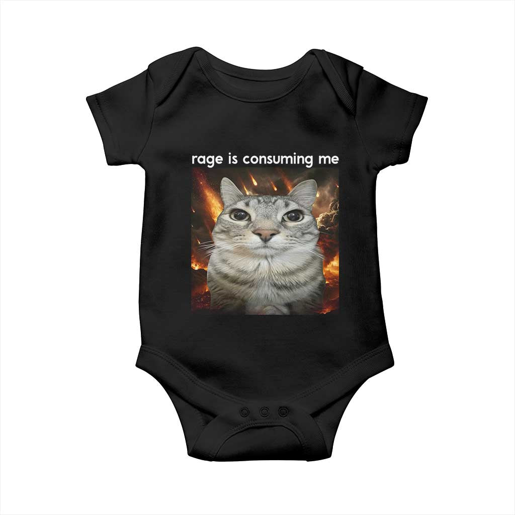 Rage Is Consuming Me Cat Baby Onesie Funny Weird Humor Silly Cat Meme - Wonder Print Shop