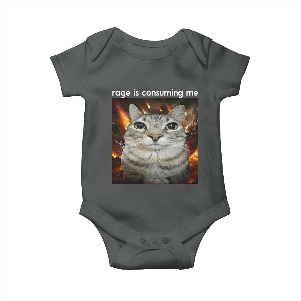 Rage Is Consuming Me Cat Baby Onesie Funny Weird Humor Silly Cat Meme - Wonder Print Shop