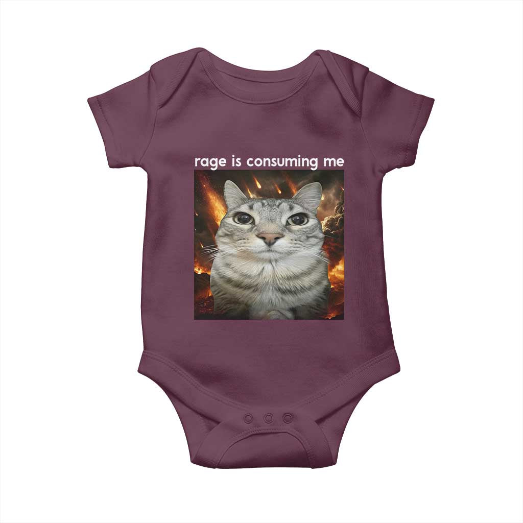 Rage Is Consuming Me Cat Baby Onesie Funny Weird Humor Silly Cat Meme - Wonder Print Shop