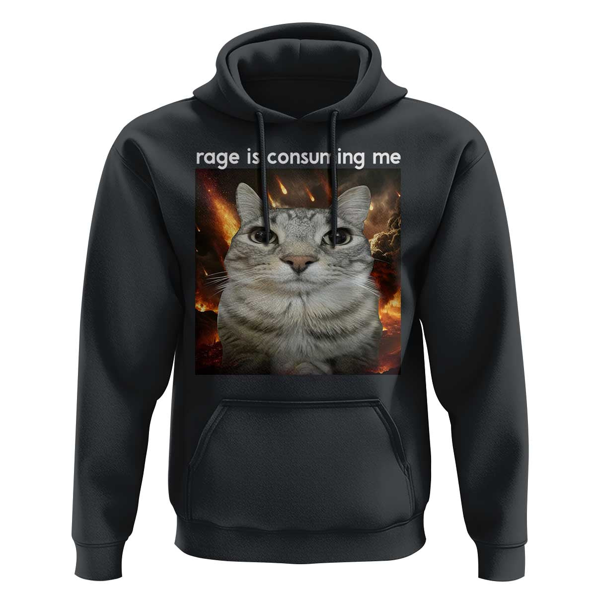 Rage Is Consuming Me Cat Hoodie Funny Weird Humor Silly Cat Meme - Wonder Print Shop