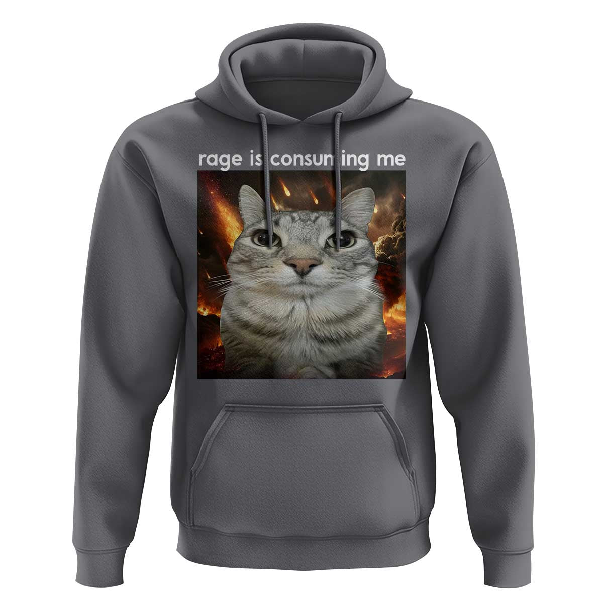 Rage Is Consuming Me Cat Hoodie Funny Weird Humor Silly Cat Meme - Wonder Print Shop