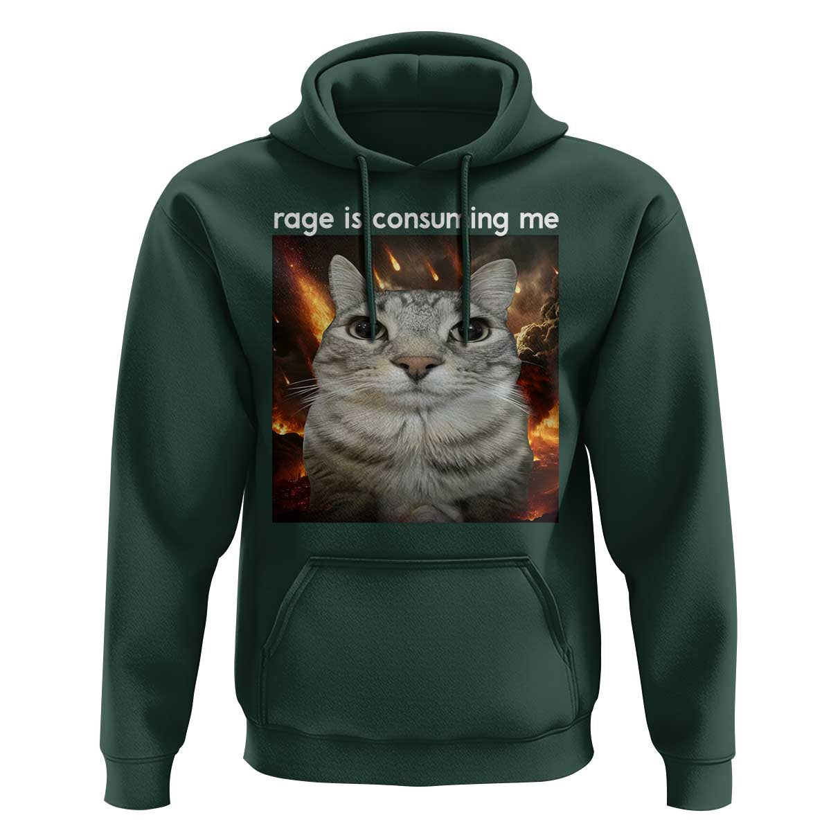Rage Is Consuming Me Cat Hoodie Funny Weird Humor Silly Cat Meme - Wonder Print Shop