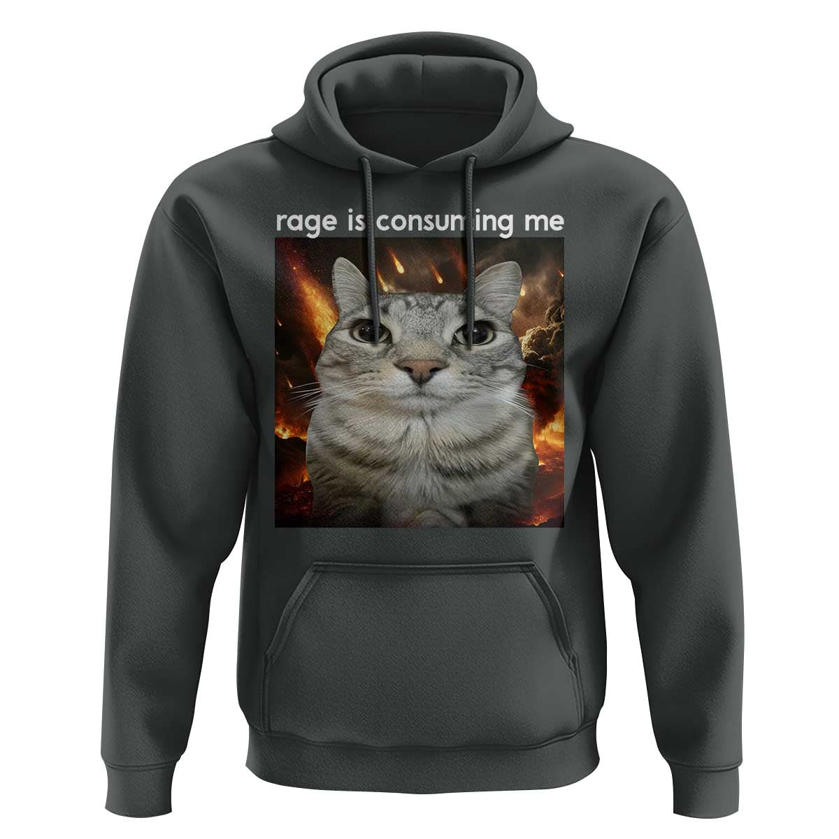 Rage Is Consuming Me Cat Hoodie Funny Weird Humor Silly Cat Meme - Wonder Print Shop