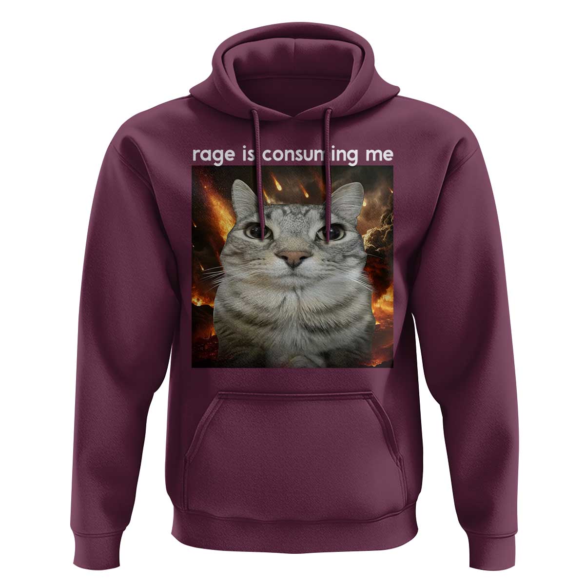Rage Is Consuming Me Cat Hoodie Funny Weird Humor Silly Cat Meme - Wonder Print Shop
