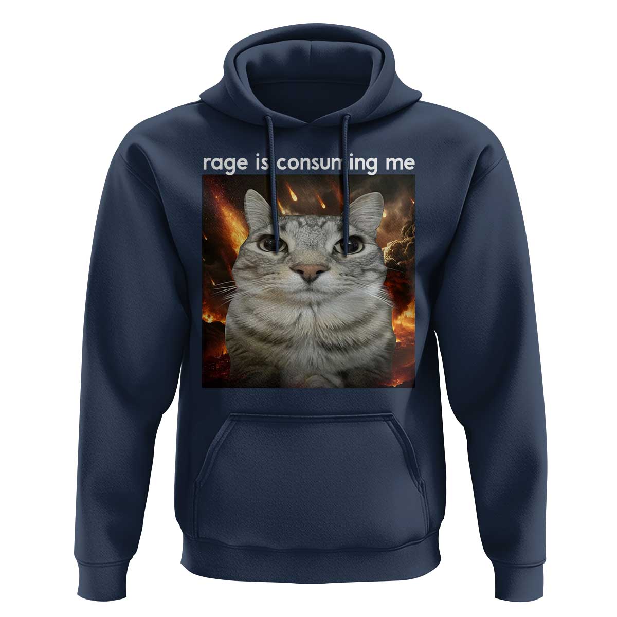Rage Is Consuming Me Cat Hoodie Funny Weird Humor Silly Cat Meme - Wonder Print Shop