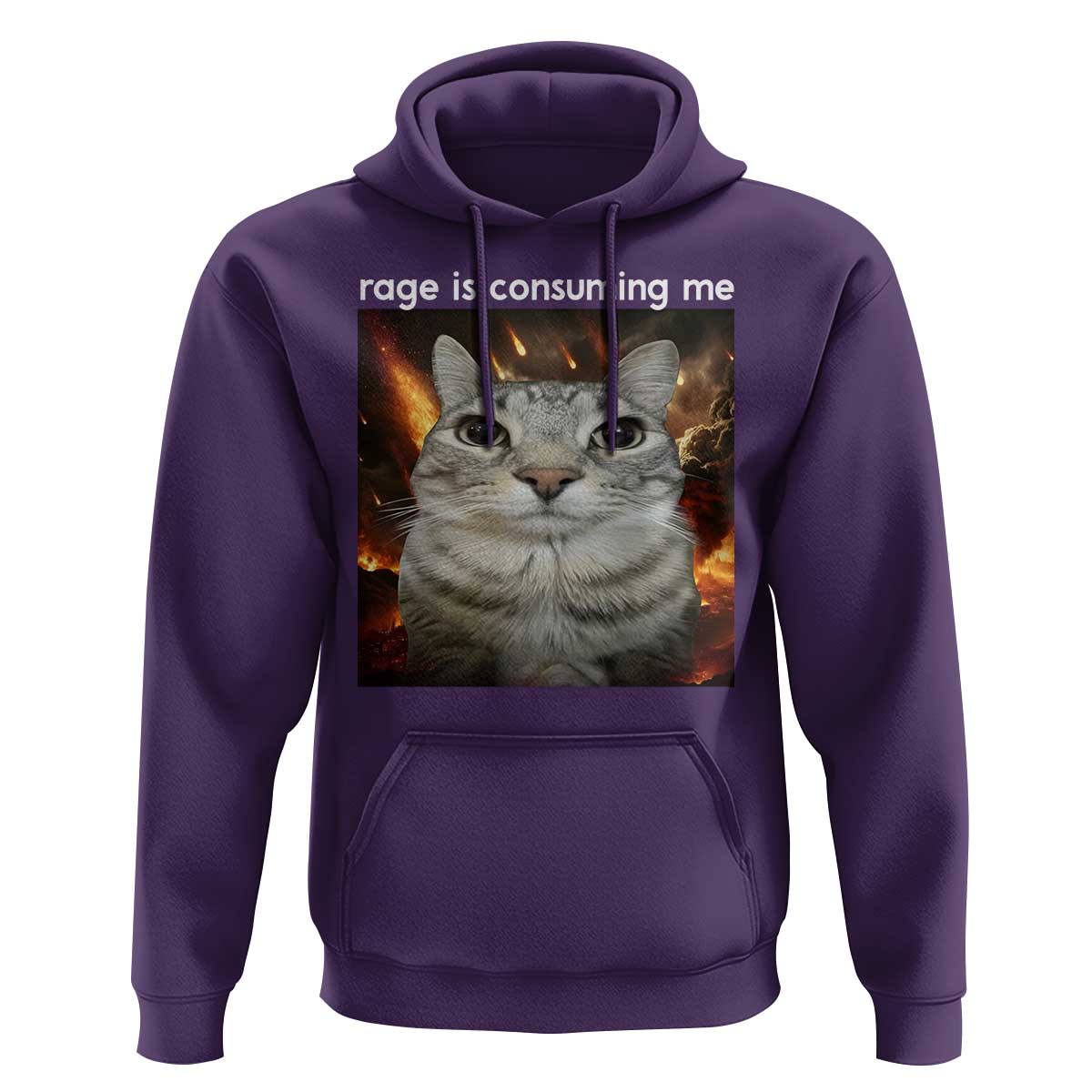 Rage Is Consuming Me Cat Hoodie Funny Weird Humor Silly Cat Meme - Wonder Print Shop