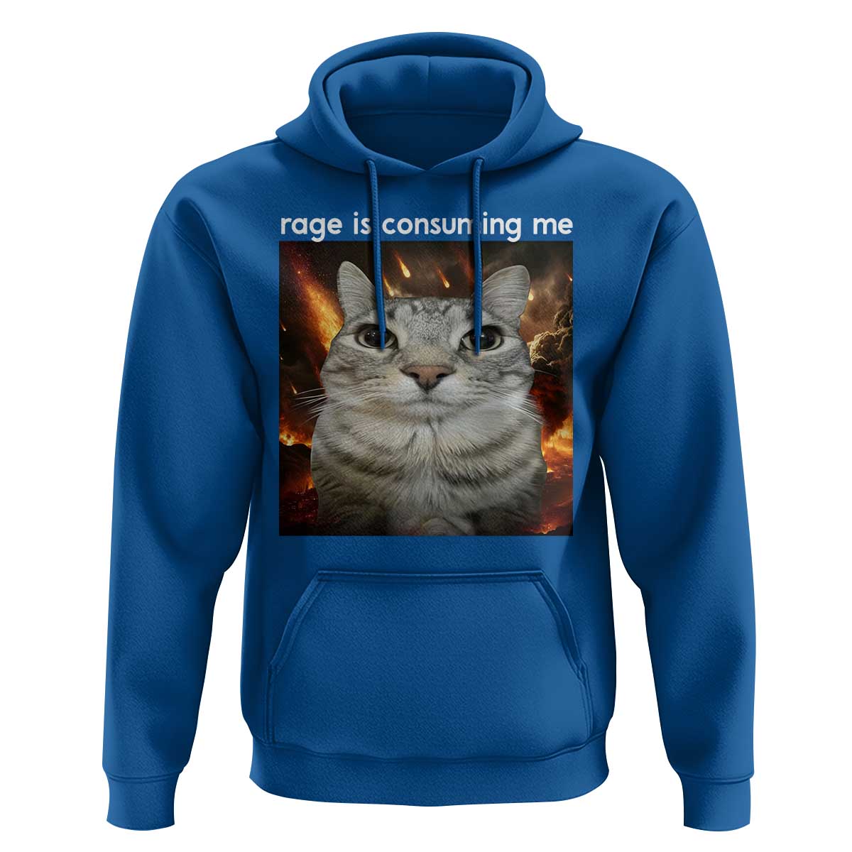 Rage Is Consuming Me Cat Hoodie Funny Weird Humor Silly Cat Meme - Wonder Print Shop