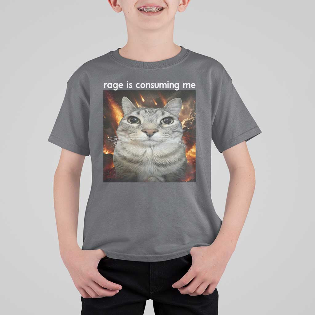 Rage Is Consuming Me Cat T Shirt For Kid Funny Weird Humor Silly Cat Meme - Wonder Print Shop
