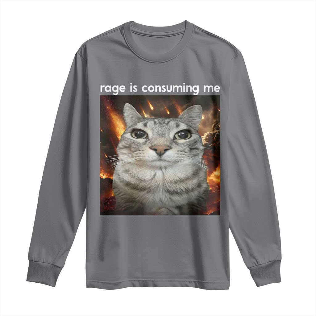 Rage Is Consuming Me Cat Long Sleeve Shirt Funny Weird Humor Silly Cat Meme - Wonder Print Shop
