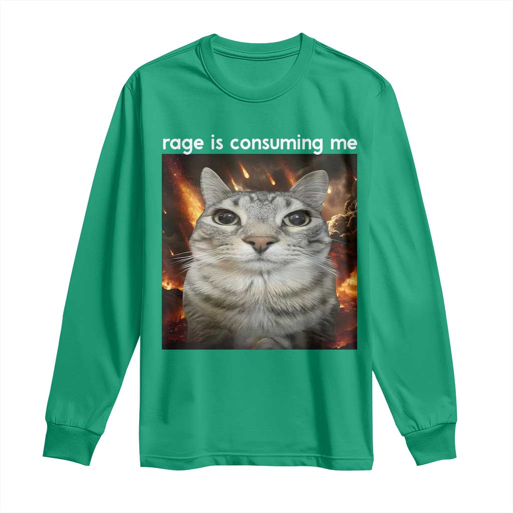 Rage Is Consuming Me Cat Long Sleeve Shirt Funny Weird Humor Silly Cat Meme - Wonder Print Shop