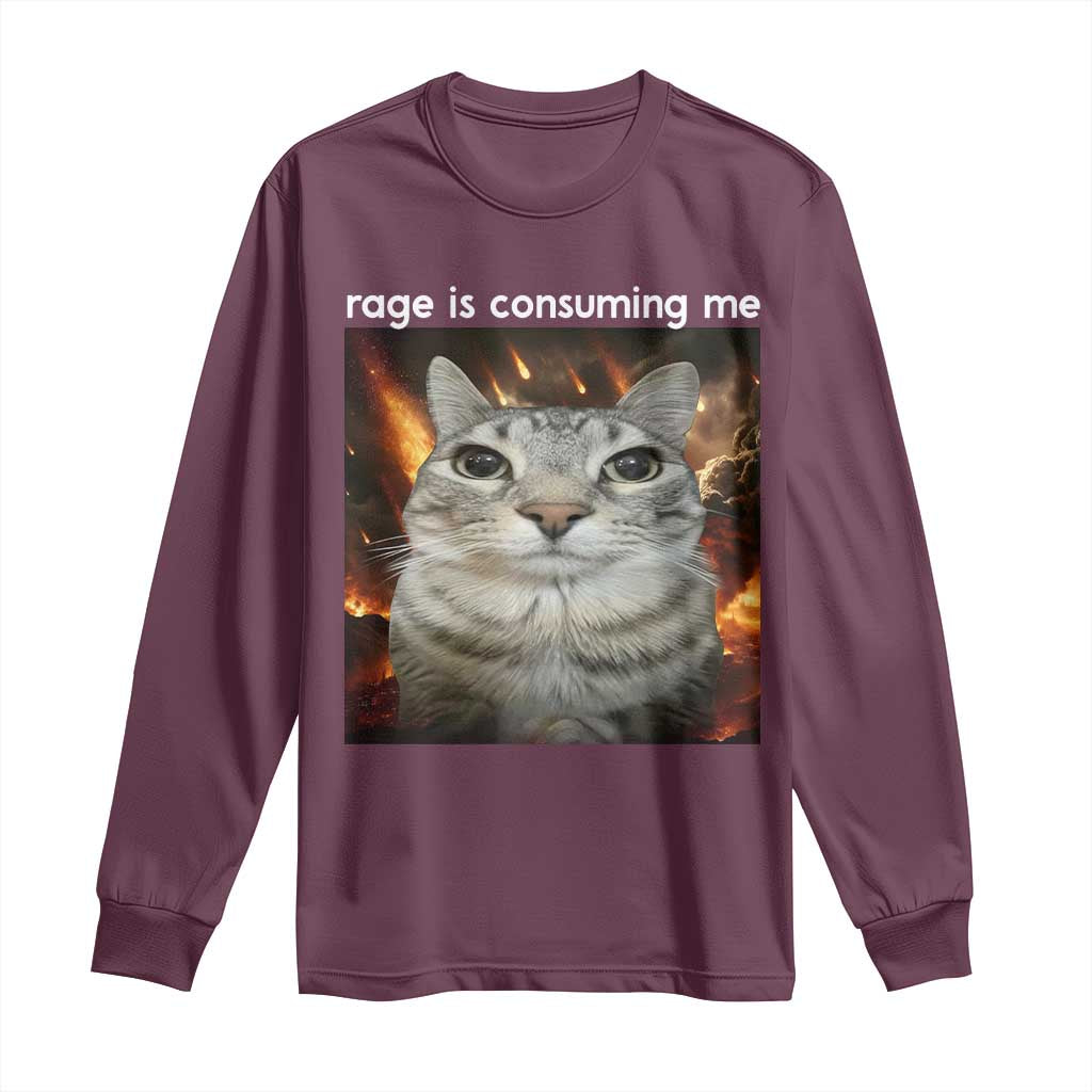 Rage Is Consuming Me Cat Long Sleeve Shirt Funny Weird Humor Silly Cat Meme - Wonder Print Shop