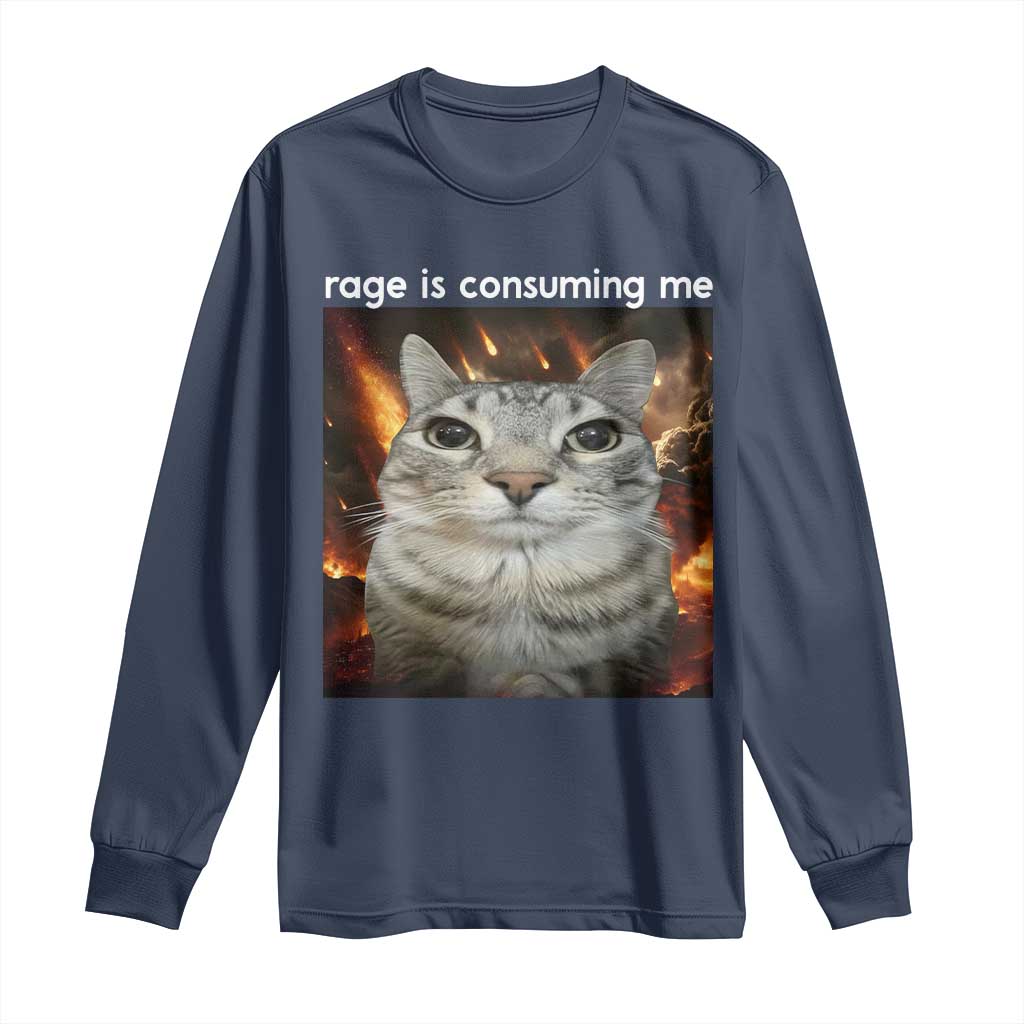 Rage Is Consuming Me Cat Long Sleeve Shirt Funny Weird Humor Silly Cat Meme - Wonder Print Shop