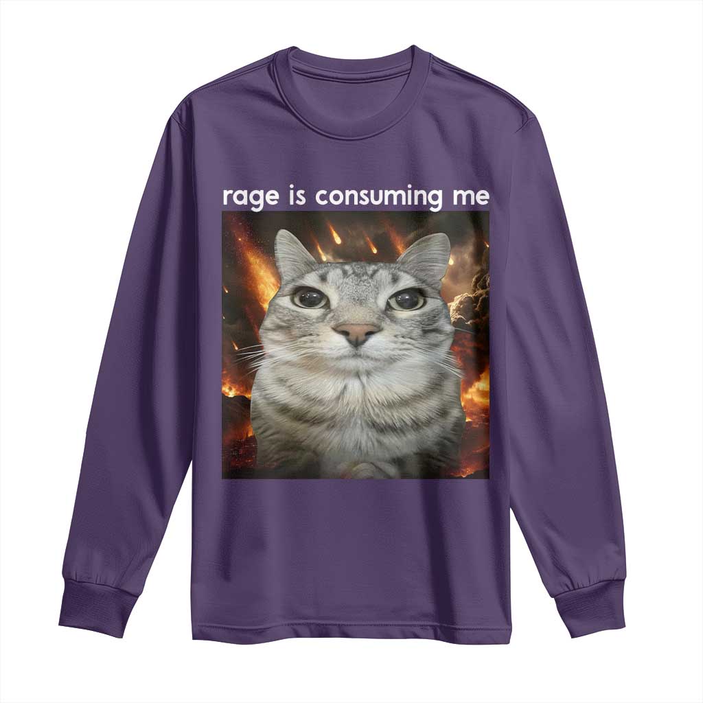 Rage Is Consuming Me Cat Long Sleeve Shirt Funny Weird Humor Silly Cat Meme - Wonder Print Shop