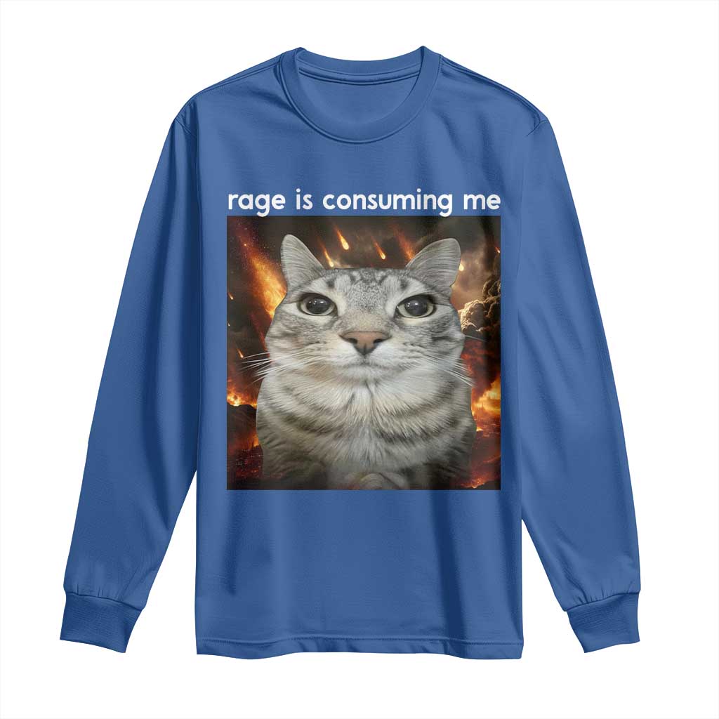 Rage Is Consuming Me Cat Long Sleeve Shirt Funny Weird Humor Silly Cat Meme - Wonder Print Shop