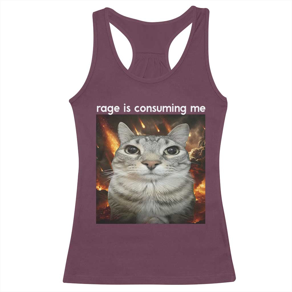 Rage Is Consuming Me Cat Racerback Tank Top Funny Weird Humor Silly Cat Meme - Wonder Print Shop