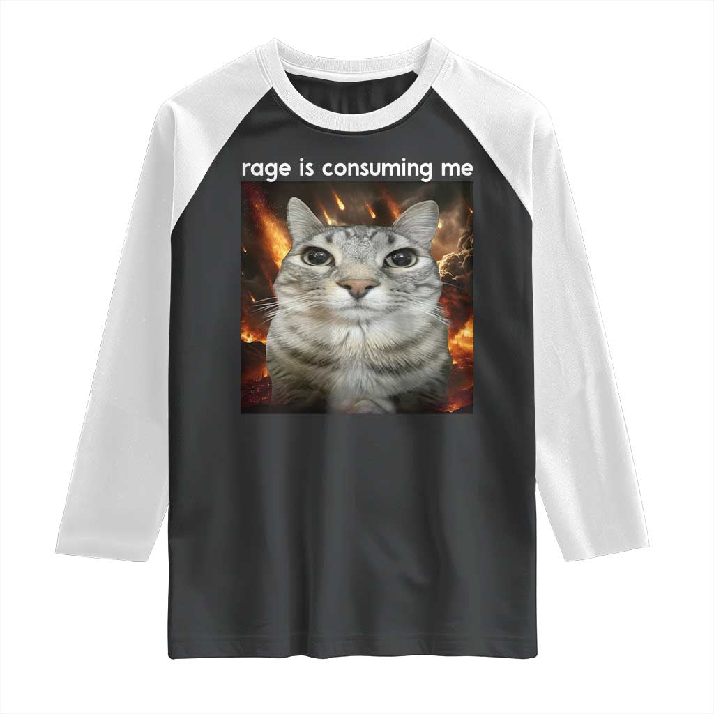 Rage Is Consuming Me Cat Raglan Shirt Funny Weird Humor Silly Cat Meme - Wonder Print Shop