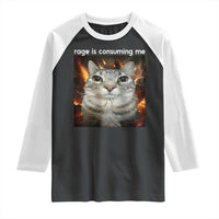 Rage Is Consuming Me Cat Raglan Shirt Funny Weird Humor Silly Cat Meme - Wonder Print Shop