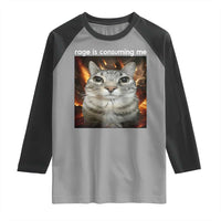 Rage Is Consuming Me Cat Raglan Shirt Funny Weird Humor Silly Cat Meme - Wonder Print Shop