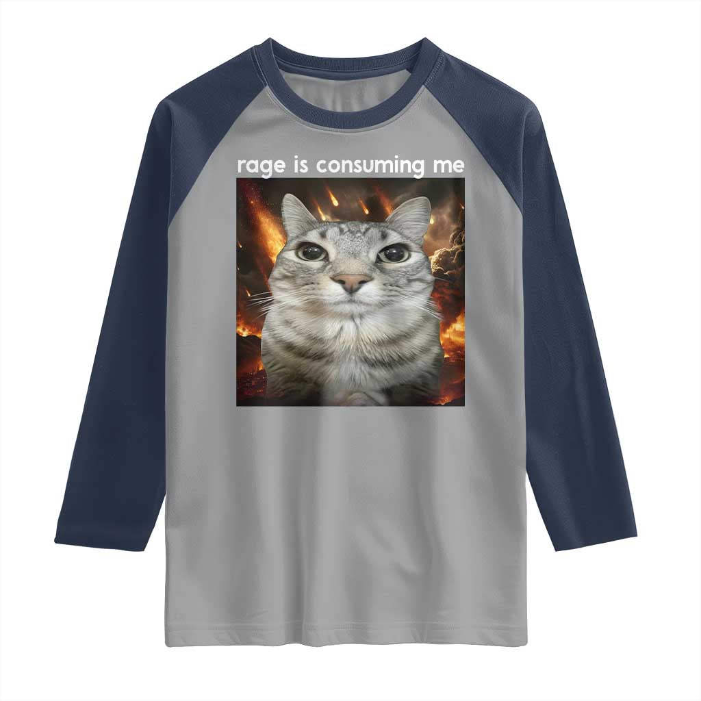 Rage Is Consuming Me Cat Raglan Shirt Funny Weird Humor Silly Cat Meme - Wonder Print Shop