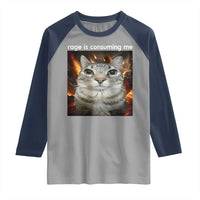 Rage Is Consuming Me Cat Raglan Shirt Funny Weird Humor Silly Cat Meme - Wonder Print Shop