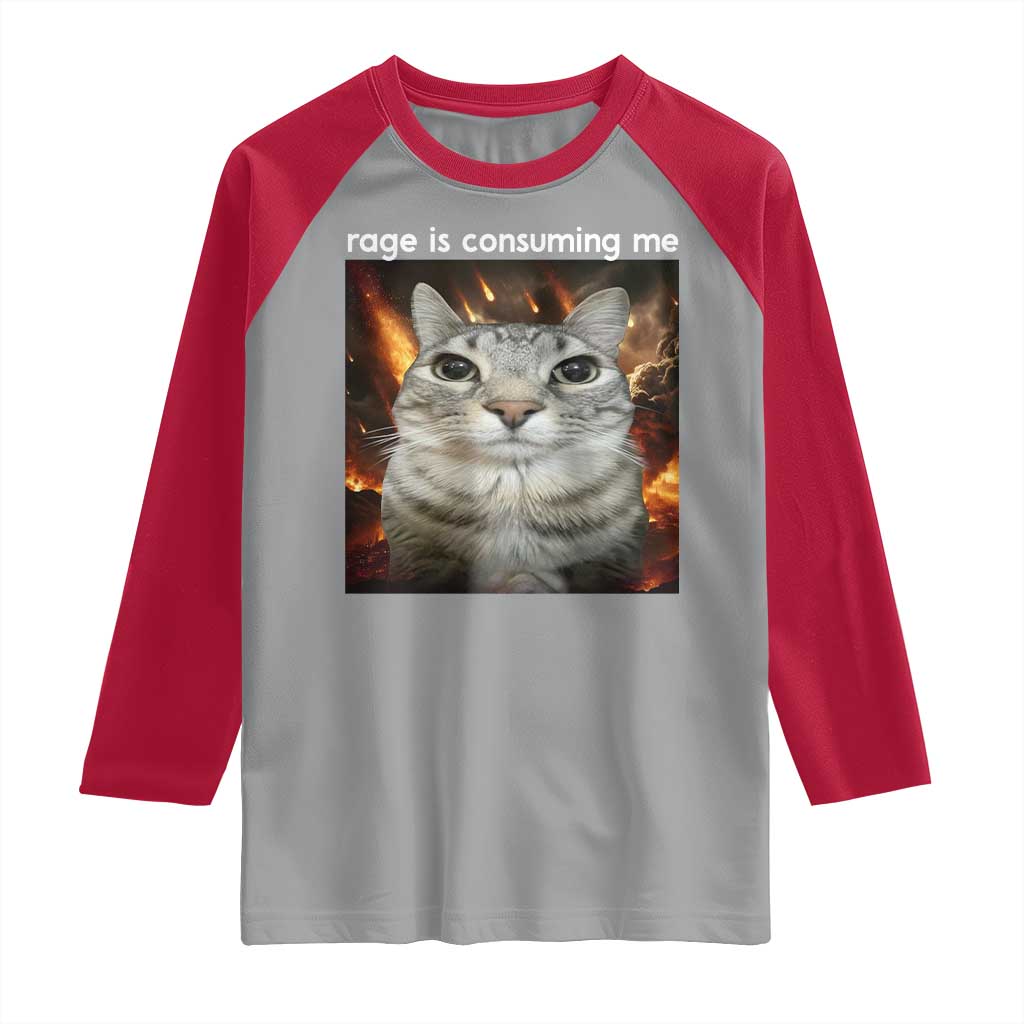 Rage Is Consuming Me Cat Raglan Shirt Funny Weird Humor Silly Cat Meme - Wonder Print Shop
